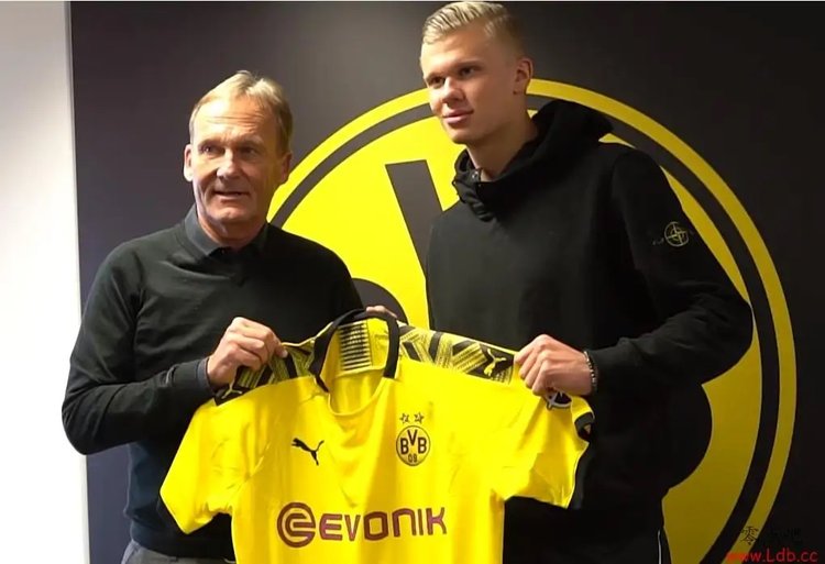 地面湿滑的 地面湿滑的